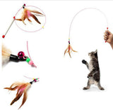 Feather Wand Cat Toy  - These Natural Feathers Are Guaranteed To Drive Your Cat Wild! Giveaway