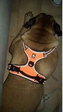 Reflective Dog Harness Training Vest With Handle Perfect For All Breeds