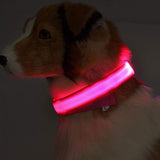 LED Safety Dog Collar